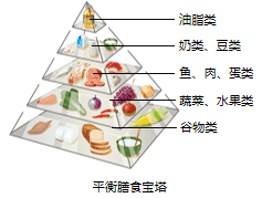 平衡膳食宝塔