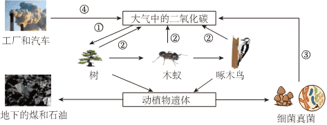 物质循环