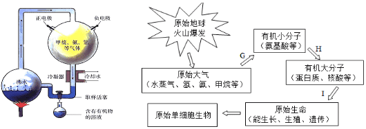 米勒实验以及化学起源说