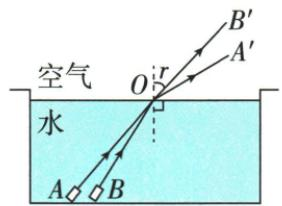 两束红光折射的答案图