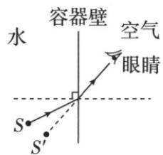 斑马鱼折射光路答案图