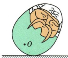 不倒翁重力示意图题图