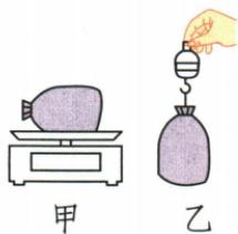 米袋重力质量的完整探究题图