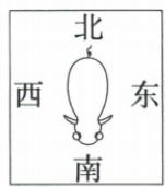 第2个牛身体朝向场景