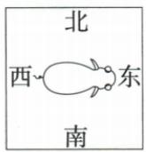 第4个牛身体朝向场景