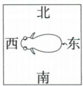 第3个牛身体朝向场景