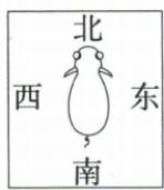 第1个牛身体朝向场景