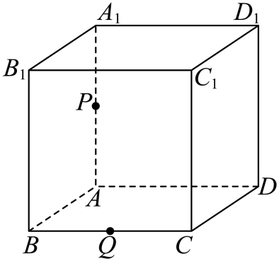正方体中棱AA1中点P与BC中点Q