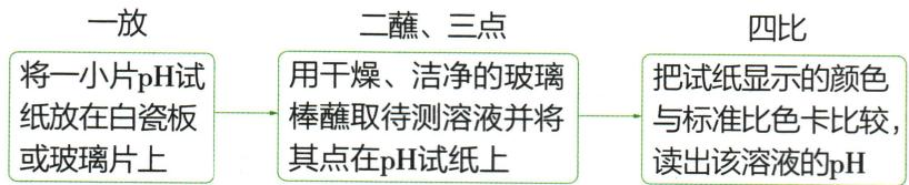 取用干燥pH试纸、蘸取待测液并及时比色的步骤