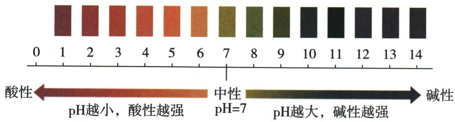 常温下常见稀水溶液的pH与酸碱性示意