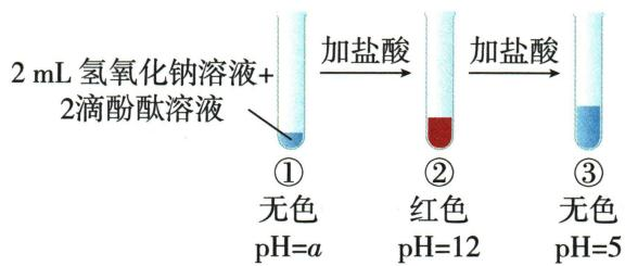 加入盐酸后，试管依次呈无色、pH12红色、pH5无色