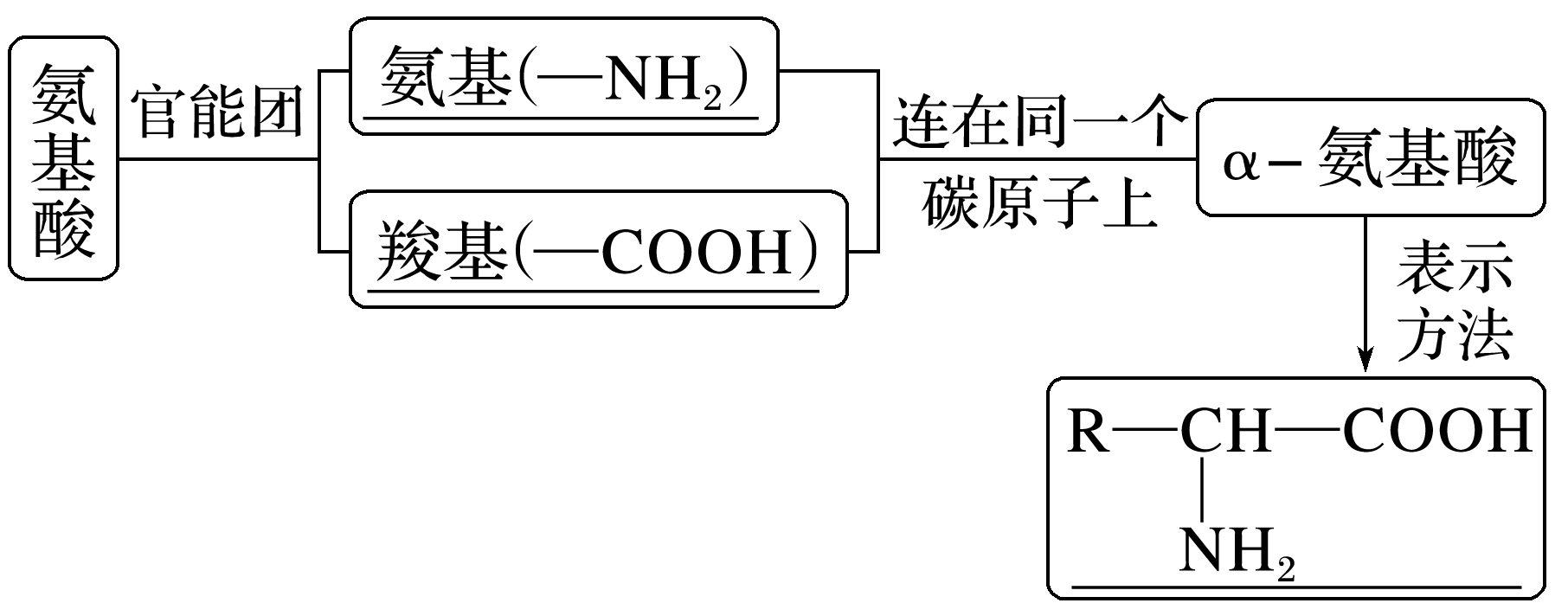 α-氨基酸的基团与连接位置