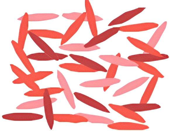 分子排列选项C