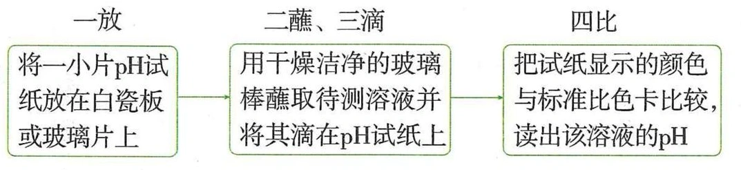 放置试纸、蘸取并滴加溶液、与标准比色卡比较的步骤