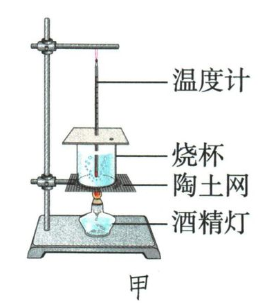 测温、烧杯及带小孔盖子的沸腾装置