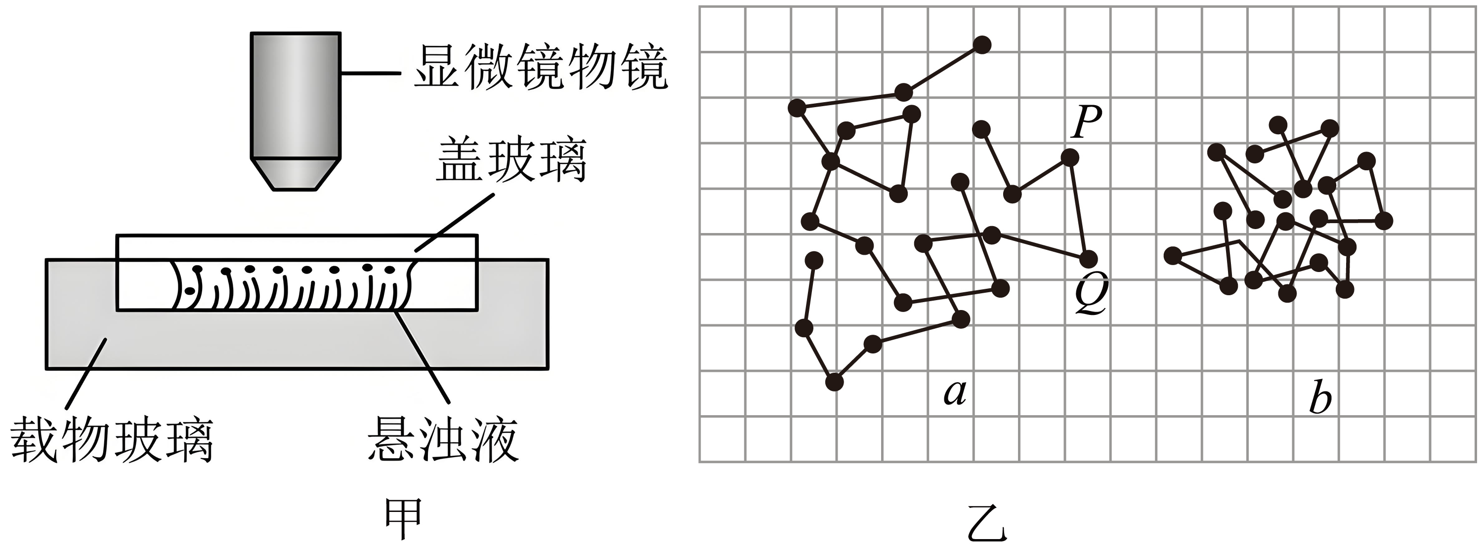 布朗颗粒定时位置