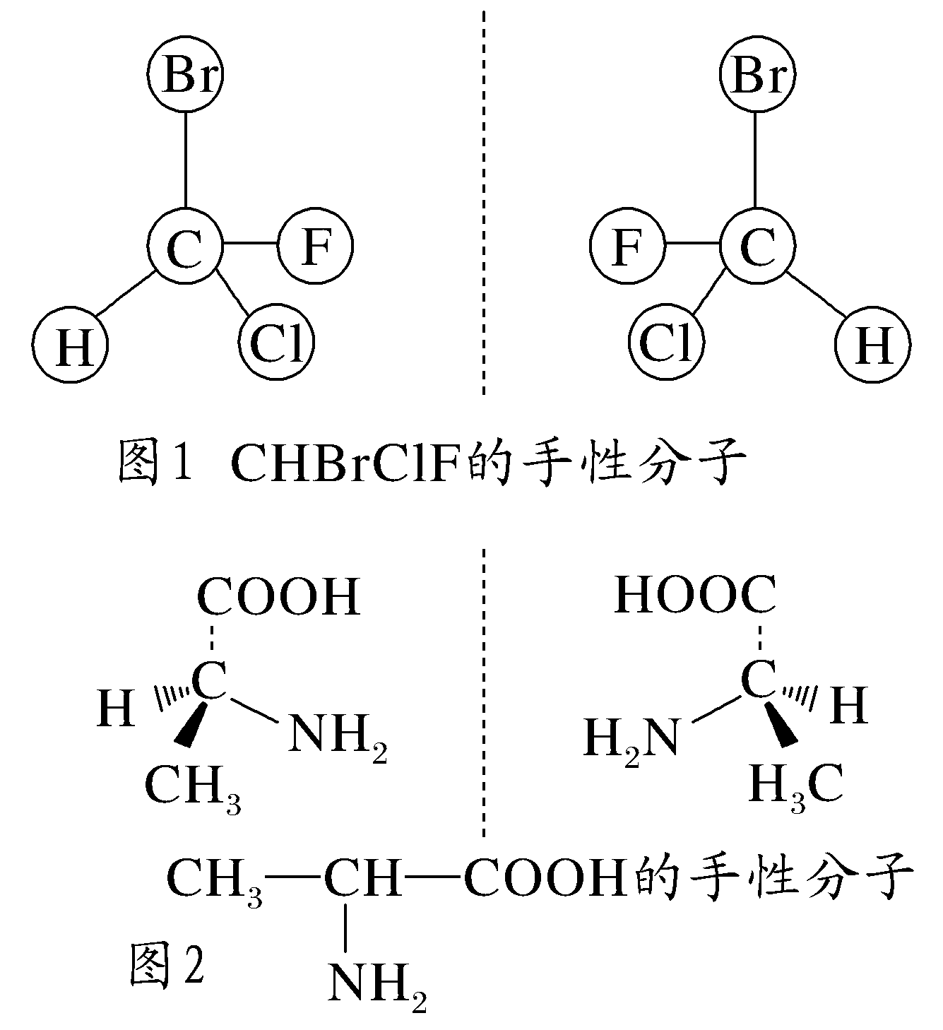 CHBrClF与丙氨酸两组原镜像示意