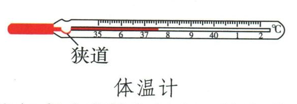 图示玻璃水银体温计与狭道