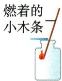 操作选项D