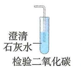 用澄清石灰水检验二氧化碳