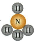 选项C给出的分子模型
