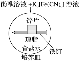 实验Ⅱ铁钉锌片与原显色试剂环境