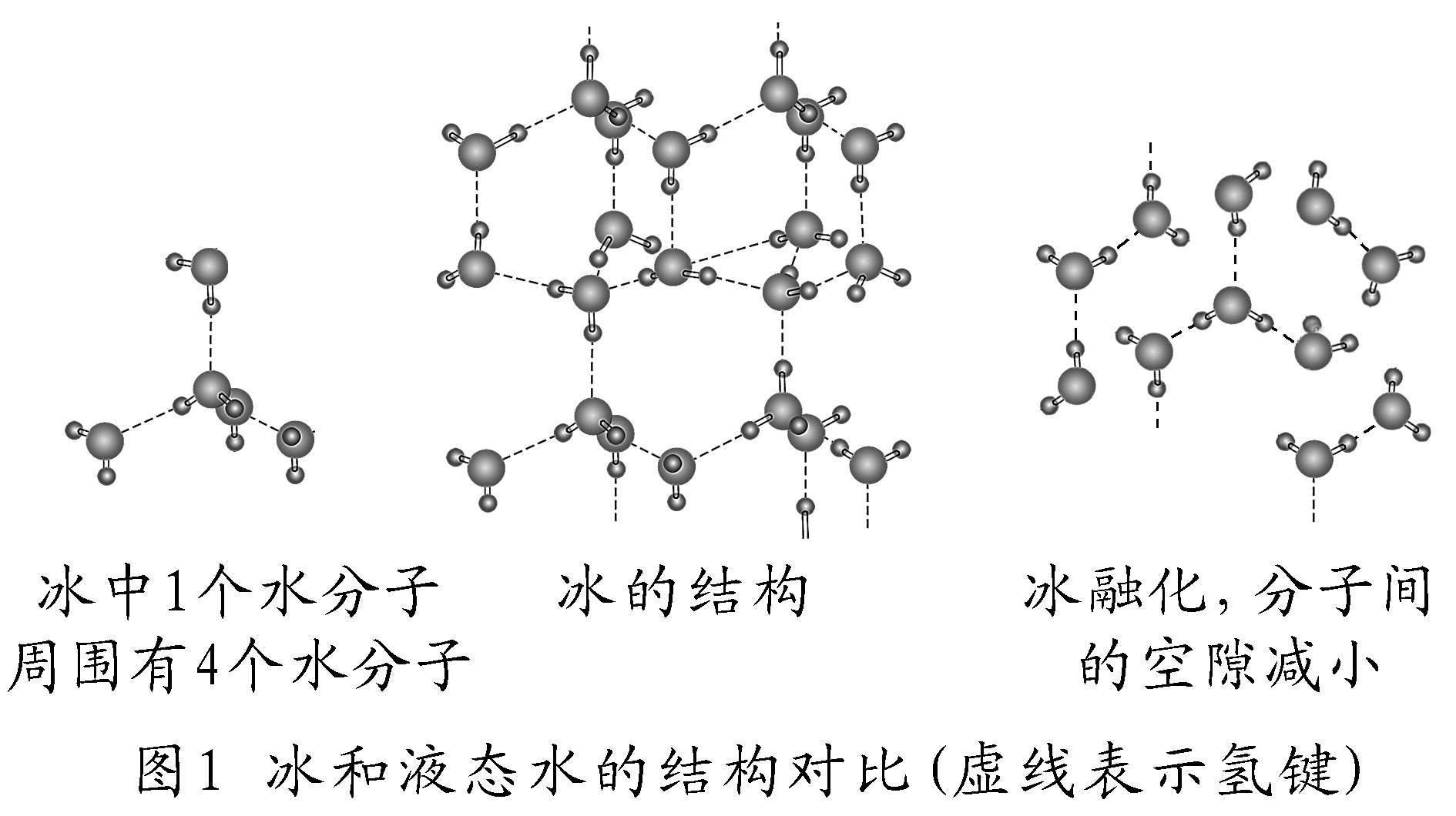 普通冰与液态水的完整结构比较