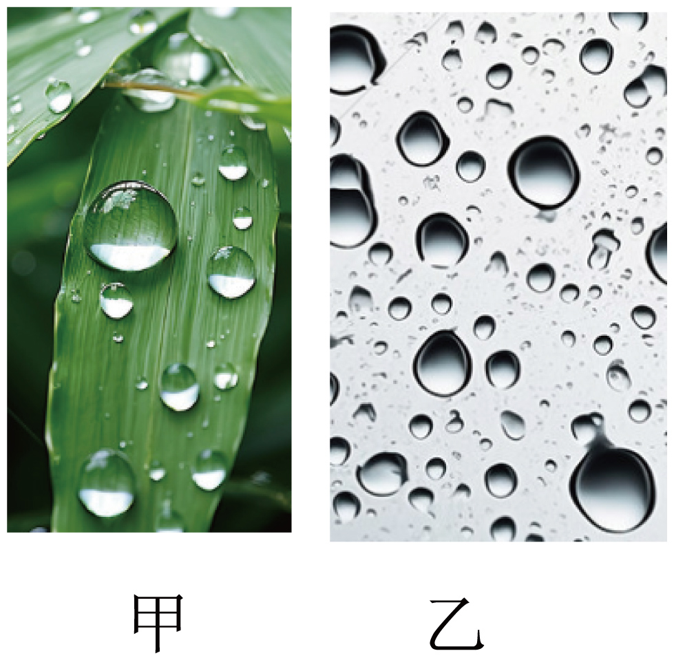 露珠与玻璃水滴