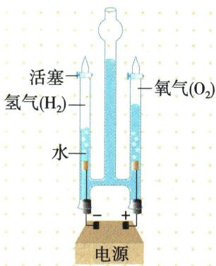 电解水装置，负极收集氢气，正极收集氧气