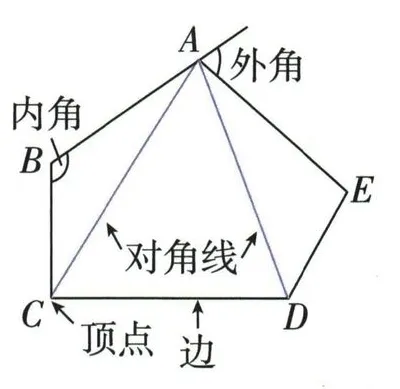五边形的顶点、边、内角、外角与对角线