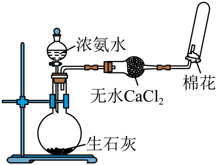 选项C完整NH₃装置