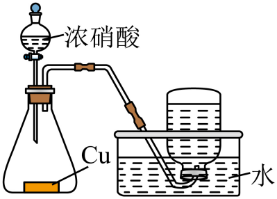 选项D完整NO₂装置
