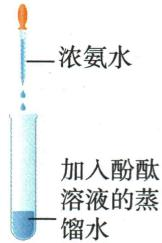 氨水与酚酞的对照