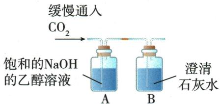 乙醇溶液与石灰水串联实验