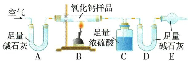 载气净化、样品反应、吸水和吸二氧化碳的串联装置