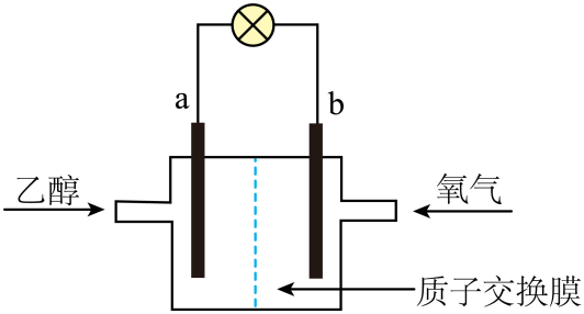 原题乙醇氧燃料电池两电极与质子膜