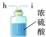 草酸产物研究装置E