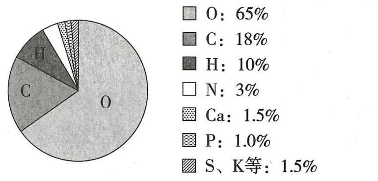 人体元素质量分数扇形图及图例