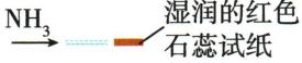 湿润红色石蕊试纸检验氨气的示意图