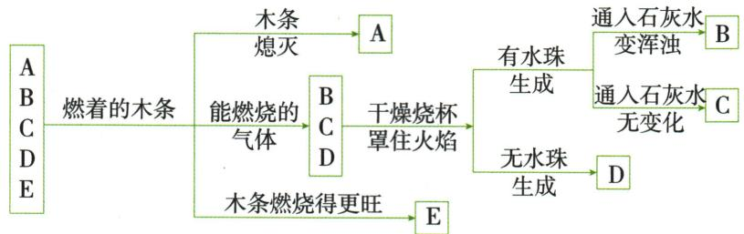 五种已知气体的实验现象分支图