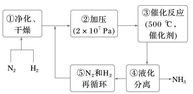 原题合成氨五步骤与回流路径