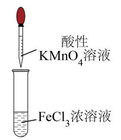 选项B的原装置与试剂标签