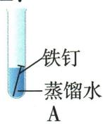 A试管中铁钉部分浸入蒸馏水