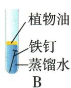 B试管中铁钉浸于水内，上方覆盖植物油