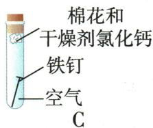 C试管中铁钉处于含氯化钙干燥剂的空气中