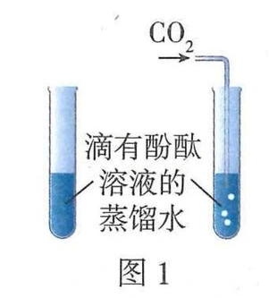 图1：蒸馏水滴加酚酞，右侧通入二氧化碳