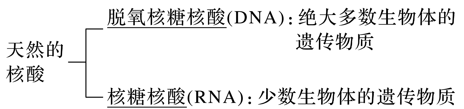 天然核酸的两类与遗传物质角色