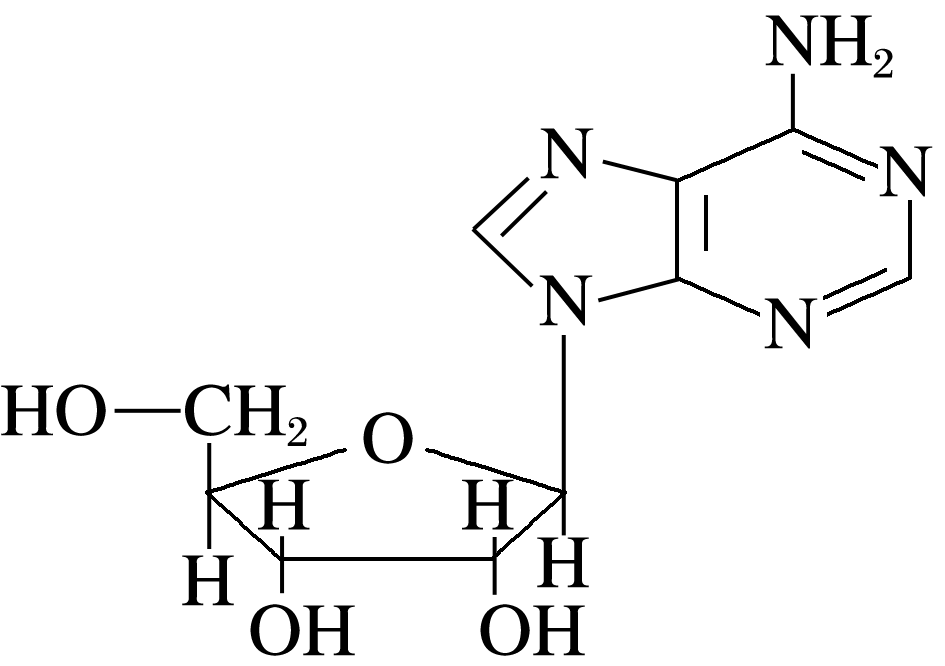 物质M的完整结构简式