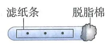 滤纸条位于试管内、脱脂棉在右端的改进装置