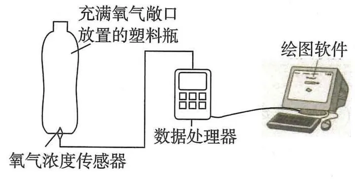敞口塑料瓶、氧气浓度传感器和数据记录装置